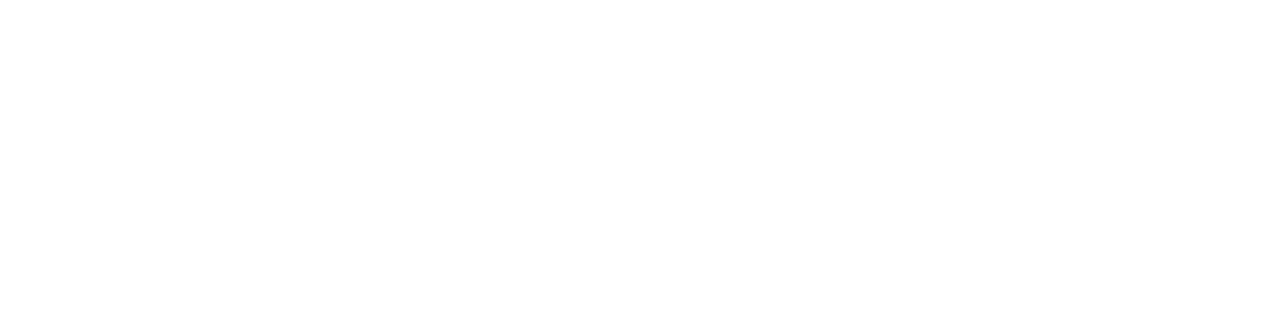 ANYONE COMPANY